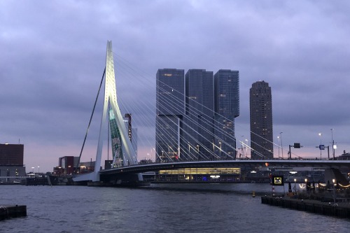 photo of a city on the water