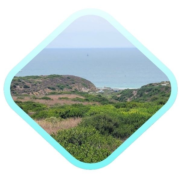 hiking trail in Crystal Cove,